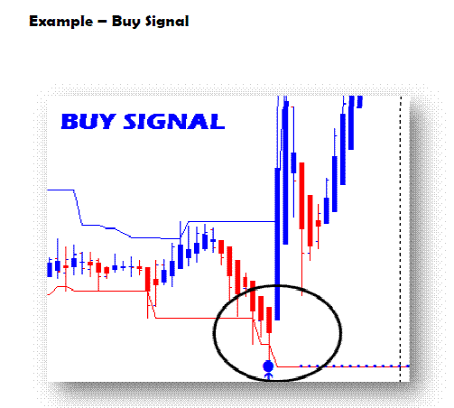 Thumbnail: Forex Ripper Manual