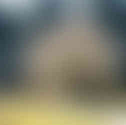 Serviceberry whole plant