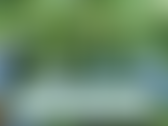 Blueberry: Berry Fresh Summers