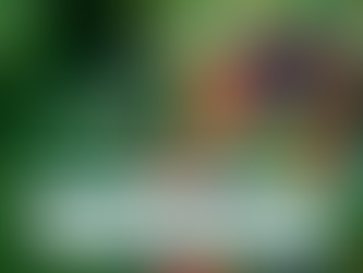 Blackberry: A Sweet and Versatile Garden Favorite