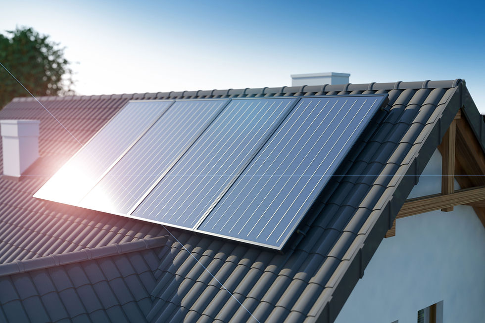 Solar Panel Roof