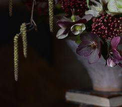 Fig & Fern Flowers hellebore and catkin arrangement