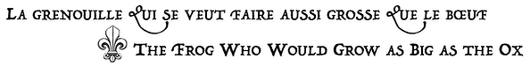 Grenouille_2019_titre.png