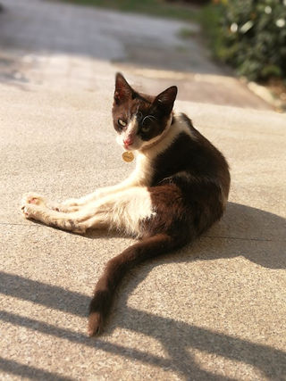 121553077910_.pic