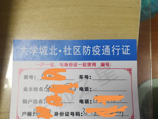 The Virus Diary of an Expat 2