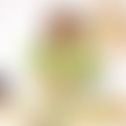 MINI Digital KAWAII INTERVIEW - Carmico