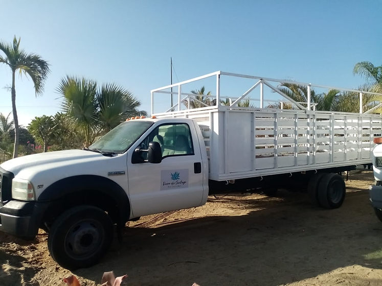 182617630_143240991147209_18373821719382