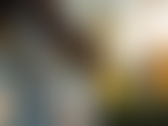 Step-by-Step Guide to Installing Gutters Efficiently