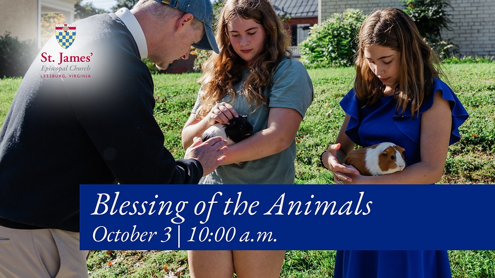 Blessing of the Animals
