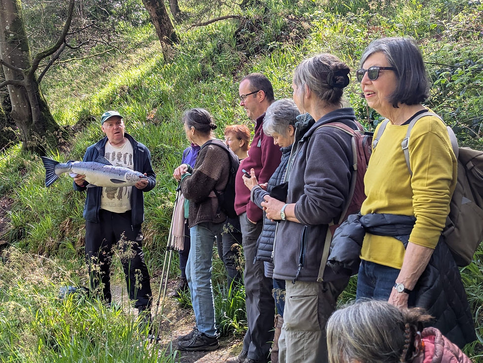 Nyfer am Byth: Diweddariad Prosiect a Chamau Nesaf