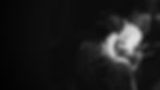 PSFix_20230801_162548~2.jpeg