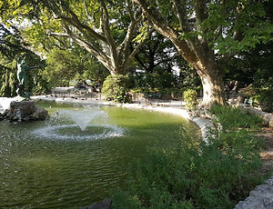 20180830_095327.jpg