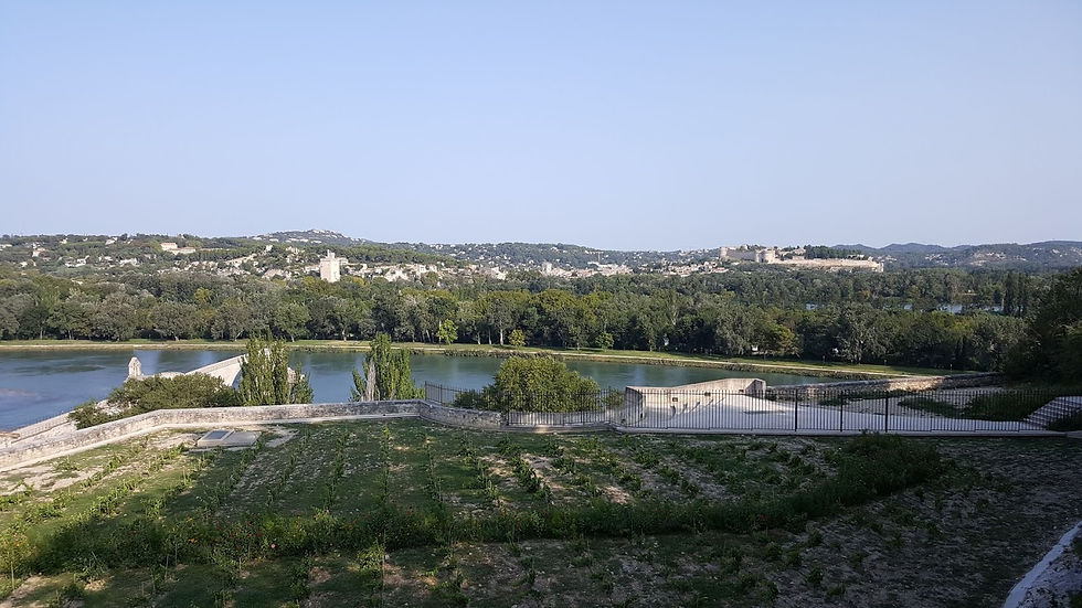 Rocher des Doms