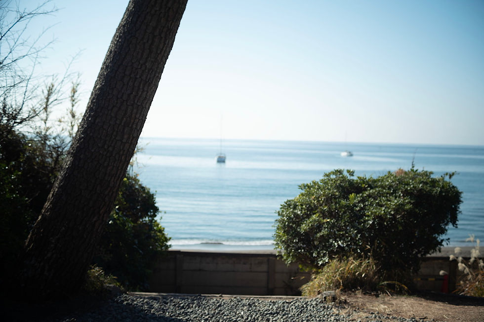 Riki Nihongi -''The truth is in you'' Interview with Moments Collective