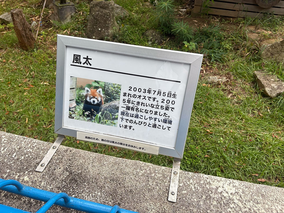 千葉市動物公園に-稲毛海岸-高浜北団地のピアノ教室