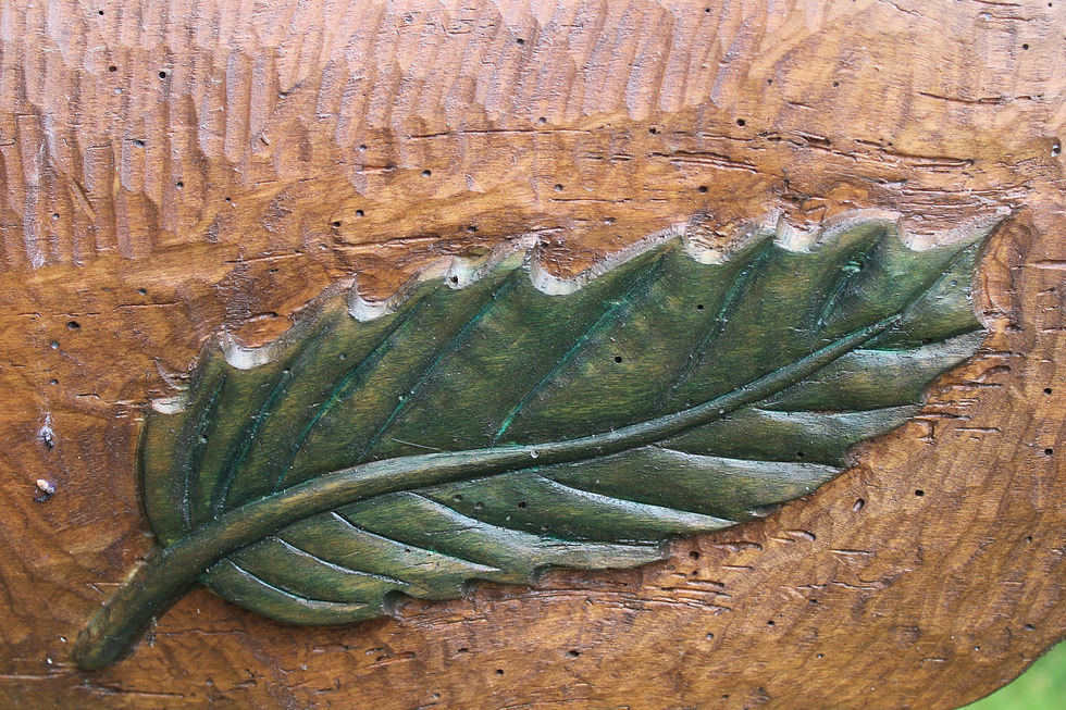 Feuille de châtaignier
