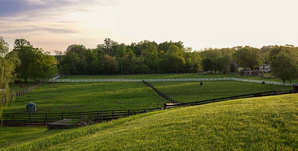 Farm Pastures_edited.jpg