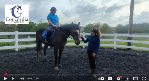 Using Your Aids to Effectively Guide the Horse