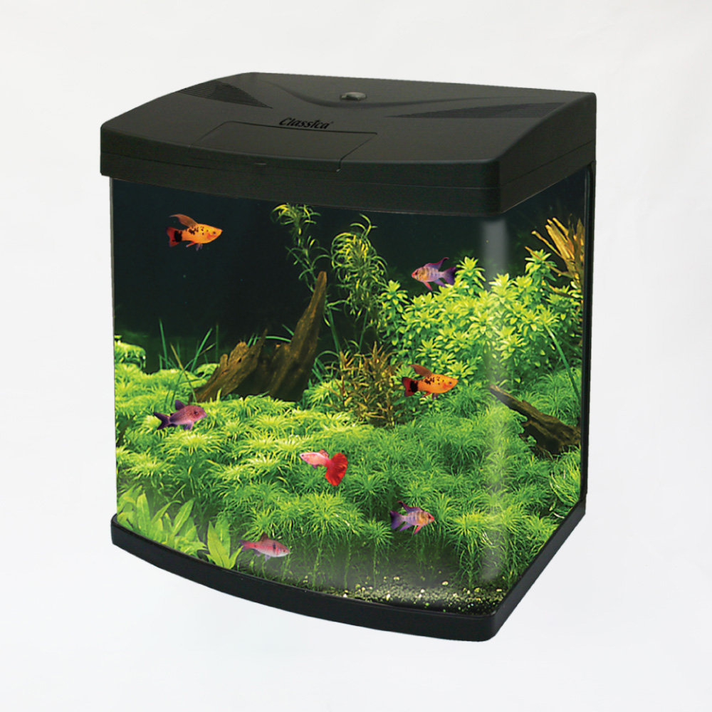 40l fish tank