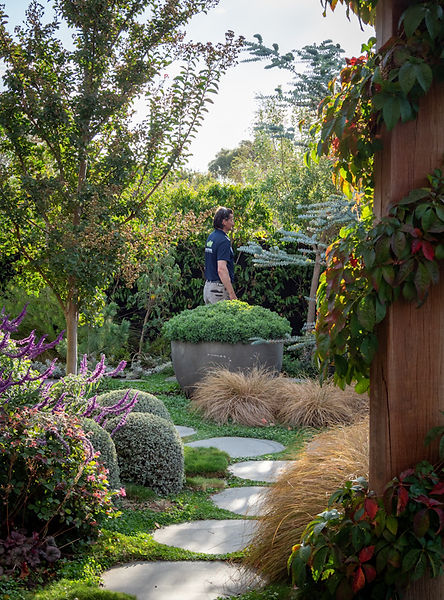 garden_journey.jpg