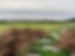 landscaping Mornington Peninsula