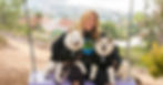 Woman and her two Huskies at Secret Swing in La Jolla wearing matching dog and owner hoodies