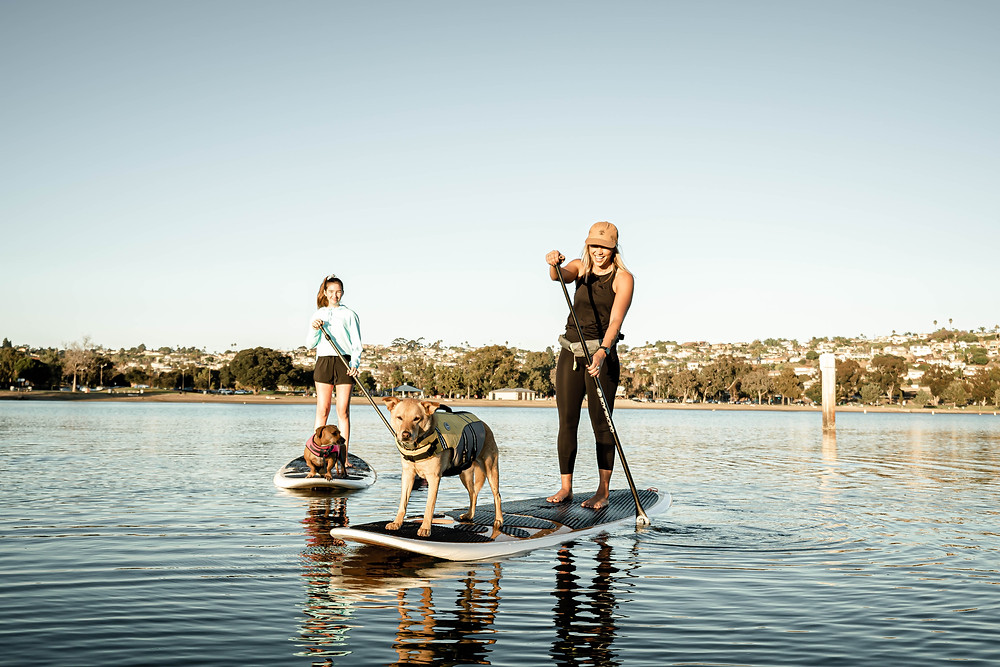 A woman and her dog on the water on Stand Up Paddle Boards.