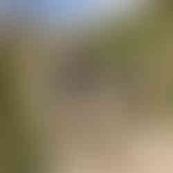 Section of the Gier aqueduct canal – Chaponost – Photo: Arko