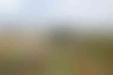 Mur d'Hadrien - Crédit Steven Fruitsmaak