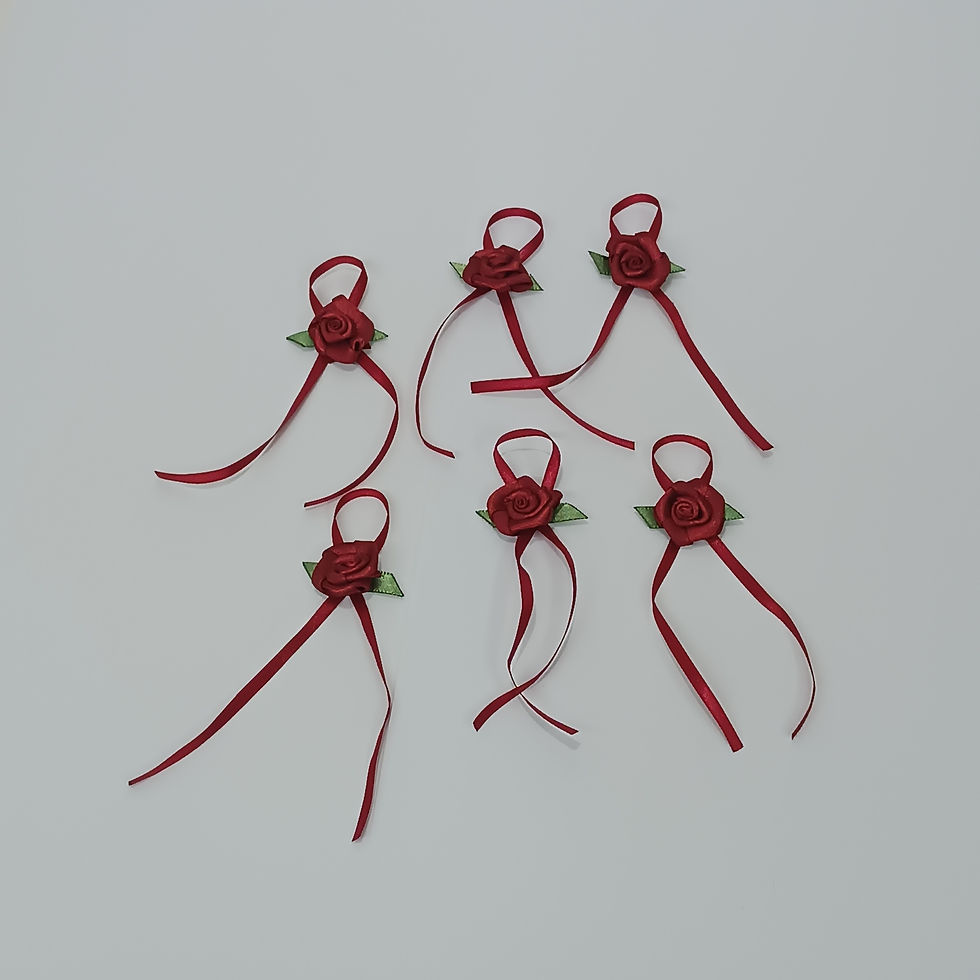 Miniatura: Laço 0025R em Cetim 003