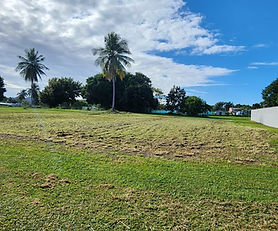 Solar en Venta – Bo. Guayaney, Manatí