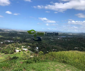 Hemoso Terreno en el Bo Quebrada Cruz, Toa Alta