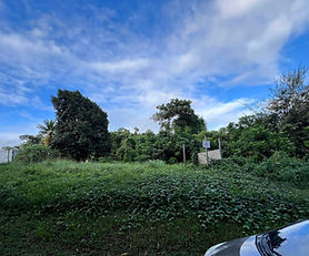  Finca en Bo. Quebrada Cruz , Toa Alta.