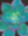 Advanced Chalk Pastel Flower Workshop