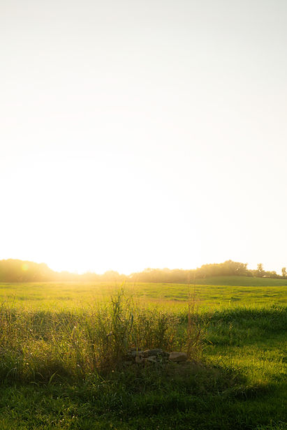 Sunset over the farm field club