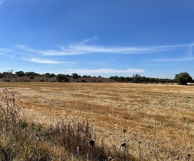 TERRENO EN VENTA EN TIZAYUCA