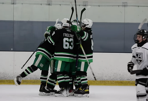 Screen Shot 2025-03-29 at 10.46_edited.png