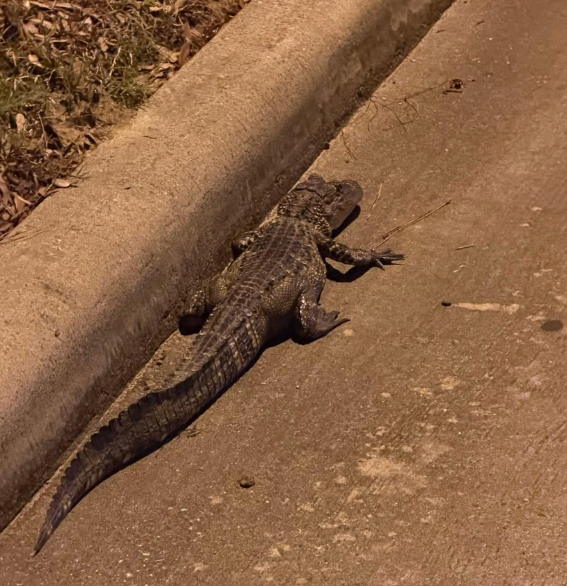 Photo credit: Garima DGupta