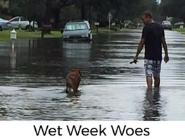 A Wet Week Urges Katy Residents to Plan for Hurricane Season
