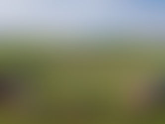 Local School Promotes Peace with a Field Full of Pinwheels