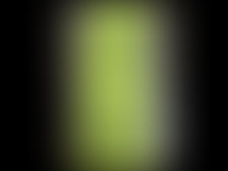 Katy Holiday Scam Alert: Beware of These Common Ones