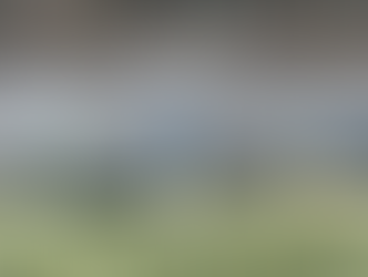 Large Alligator Spotted Along Popular Katy Walking Trail