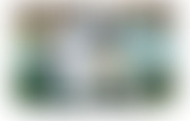 Katy Dog Saves Woman, Dogs from Pack of Coyotes