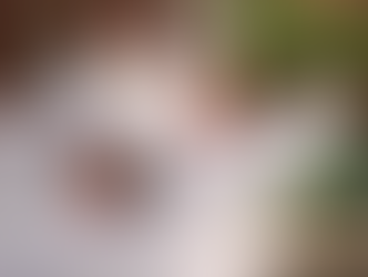 Katy’s Central Green Park Brings Free Live Entertainment and Fitness this November