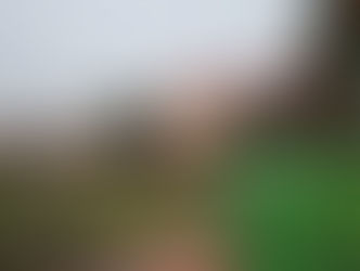 Christmas in the Park to Bring Katy Charm and Holiday Traditions