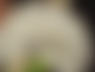 ASP SEASON ALERT: Katy Parents Must Educate Children on the Dangers of these 'Cute' Bugs