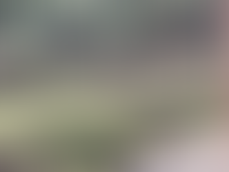 Winter Weather Brings Coyotes Closer to Katy Residents