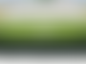 Family Fun Run to Benefit Katy Nonprofits 