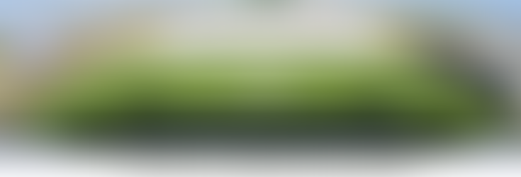 Family Fun Run to Benefit Katy Nonprofits 