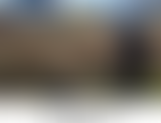 Man Killed, Mother and Child Hospitalized in Dog Attack on Katy Walking Trail